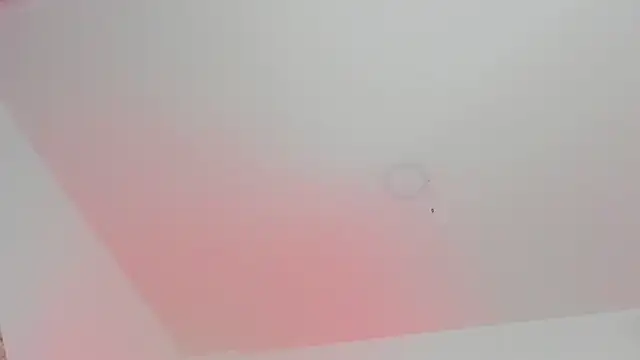 Show webcam de dereck_karter