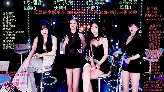 S5-55Sのウェブカメラショー