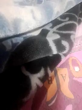 Pinky_1369's Webcam Show