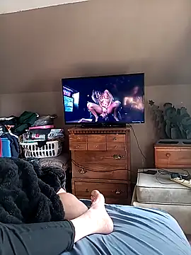 Show webcam de Bigloggz