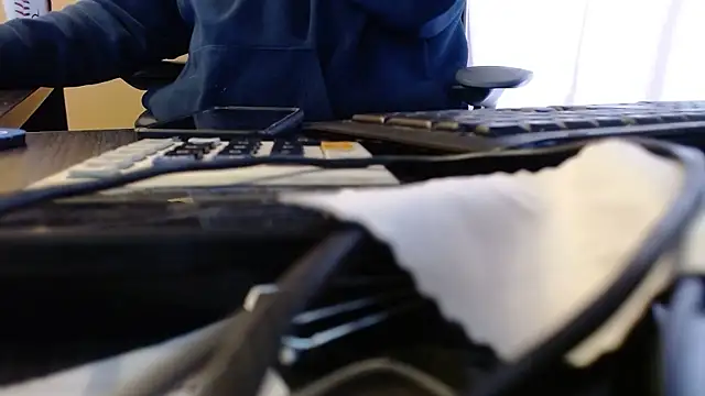 Show webcam de olderandwiser2