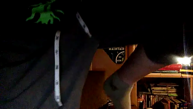 Show webcam de firefoxfeel