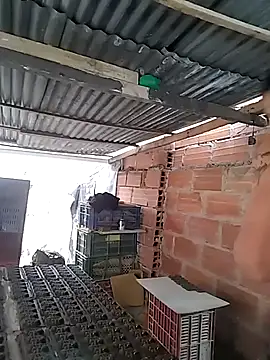 hoteder's Webcam Show