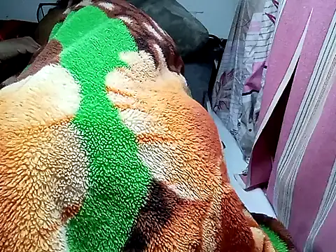 Show webcam de Expresshorse