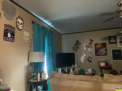 Show webcam de denverfwb