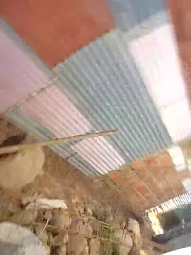 Soymaia's Webcam Show