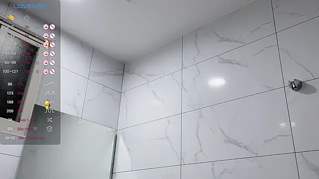 Show webcam de ni_ni01