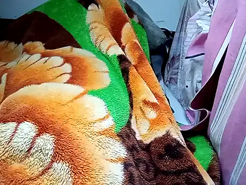 Expresshorseのウェブカメラショー