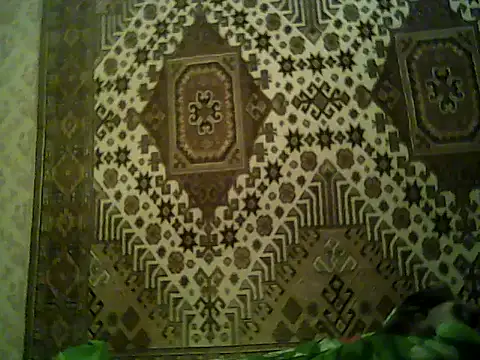 FayInessaKiss 라이브 XXX 채팅