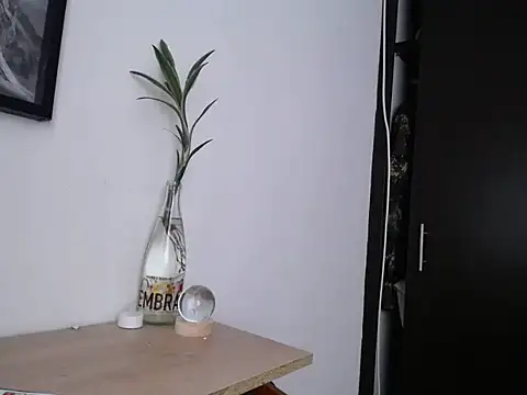 aria_jhonsson 라이브 XXX 채팅