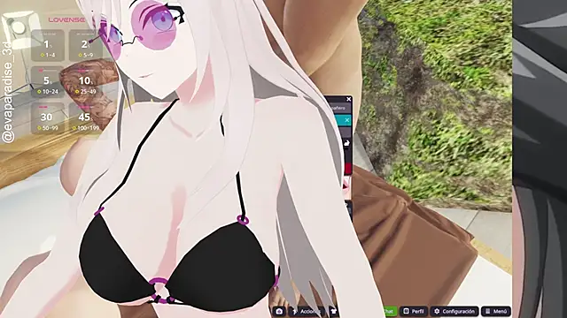 eva_3dn Webbikameraesitys