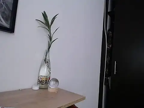 aria_jhonsson's Live XXX Chat