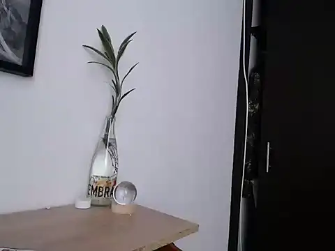 Chatroom XXX en direct de aria_jhonsson