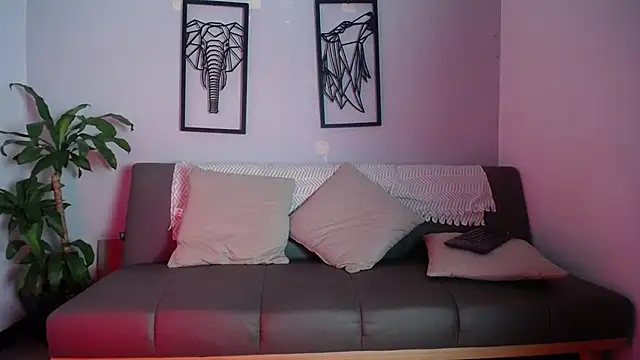 Show webcam de Aronhilton