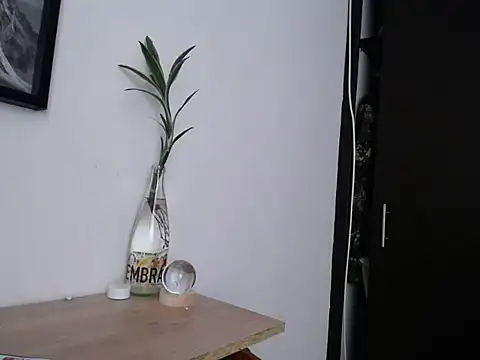 Chatroom XXX en direct de aria_jhonsson