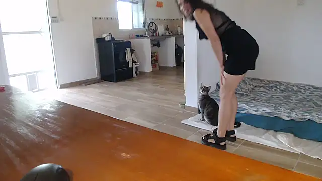 Chatroom XXX en direct de Missforever