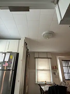 Show webcam de SpaceCowWhore