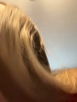 jaseyrae Chat XXX in diretta