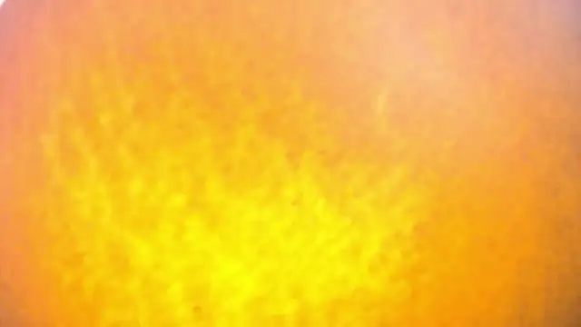 Chatroom XXX en direct de Naughty_choko