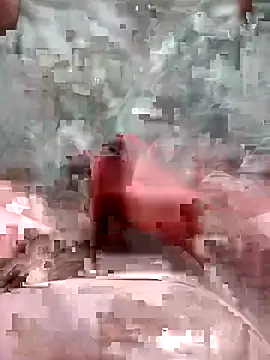 Luispp15cmn Webbikameraesitys