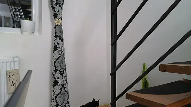 RyanStorm_ Webcam show