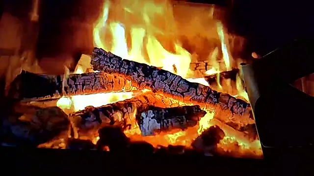 missytrig 现场XXX聊天