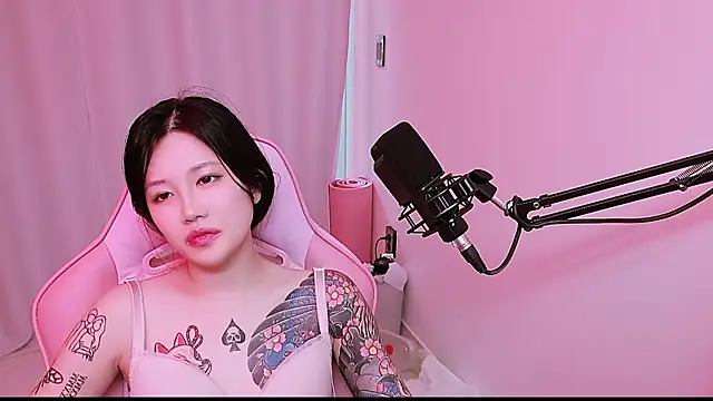 Show webcam de MISA_02