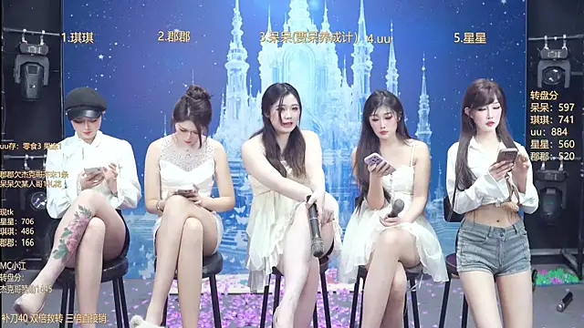 Show Webcam de A848-01