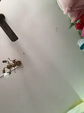 Arya_d 现场XXX聊天