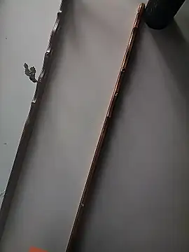 catalella16 现场XXX聊天