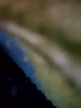 Pitercom's Live XXX Chat