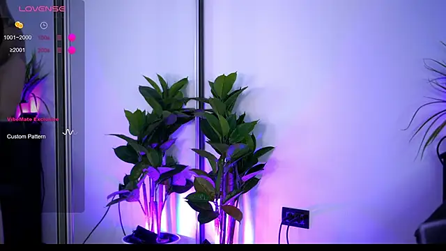 BabbyAisha: вебкам-шоу