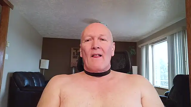 BasicAnt 라이브 XXX 채팅