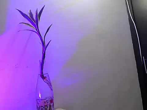 aria_jhonsson's Live XXX Chat