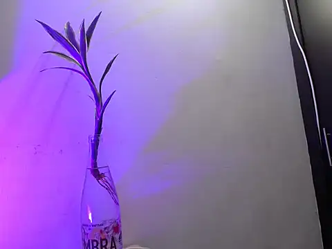 aria_jhonsson 라이브 XXX 채팅