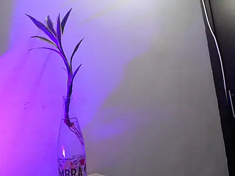 aria_jhonsson 라이브 XXX 채팅