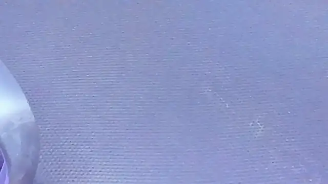 Rose-Baby's Live XXX Chat