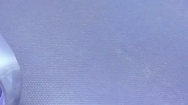 Rose-Baby's Live XXX Chat