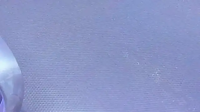 Chat XXX en directo de Rose-Baby