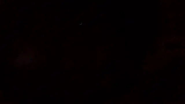 SEXOFLION live XXX chat