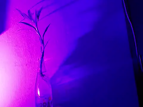 aria_jhonsson's Live XXX Chat