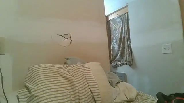 dandonn's Live XXX Chat