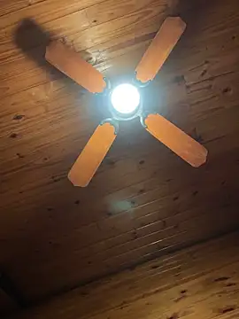 Show Webcam de bbzinharosa