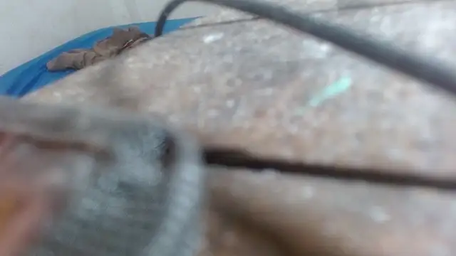 Chat XXX en directo de the_breasts_of_desir_