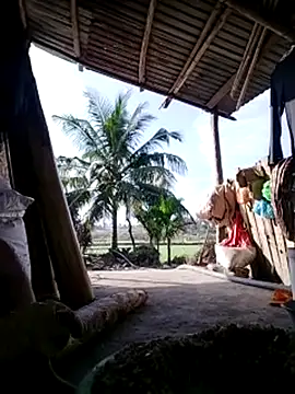 BigBoobs186's Live XXX Chat