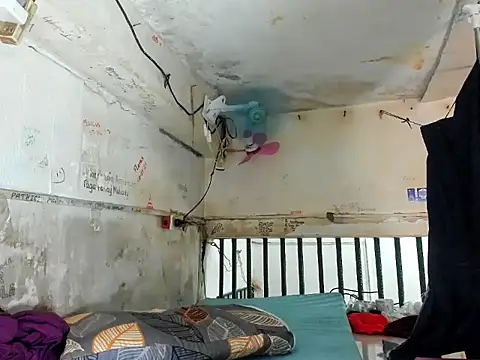 manilafoxts' Live XXX Chat