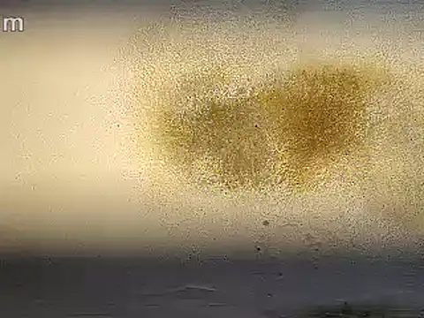 Anal_Destroyer_Alpha_Male's Live XXX Chat