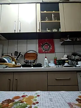 vulpe8400 Show in webcam