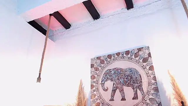 Chat XXX en directo de Doll4anall