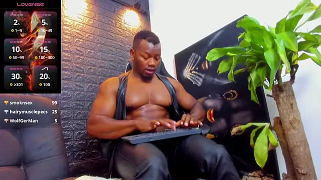 tommike's Webcam Show